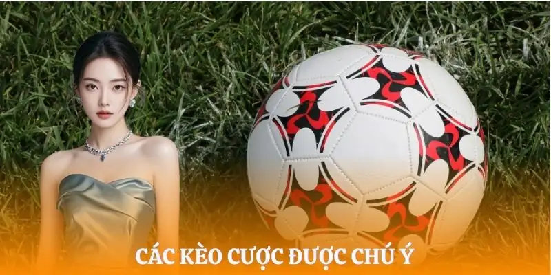 chung-ket-worldcup-2026-nhung-loai-keo-duoc-quan-tam