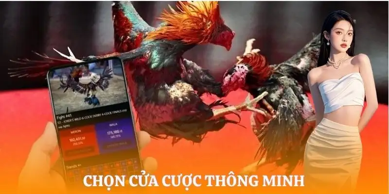 da-ga-cua-sat-lua-chon-cua-cuoc
