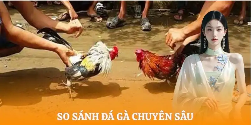 da-ga-cua-sat-so-sanh