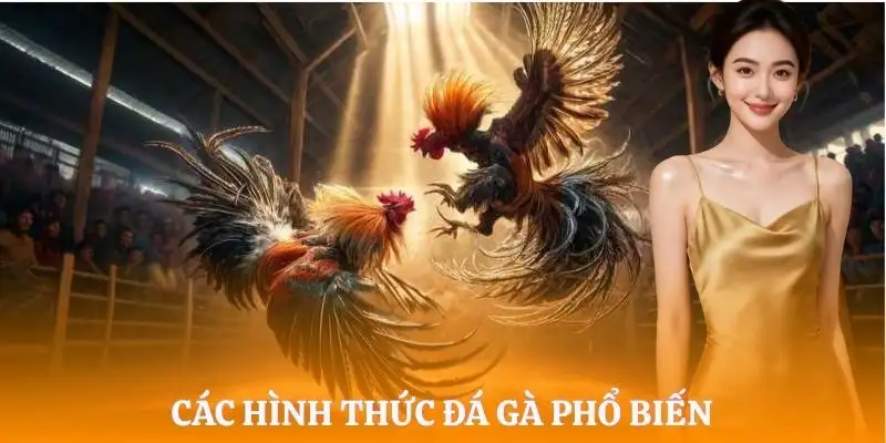 da-ga-lx88-hinh-thuc