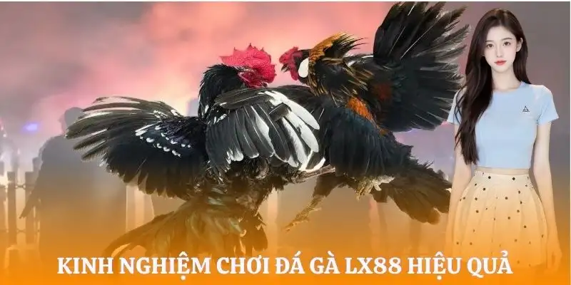 da-ga-lx88-kinh-nghiem