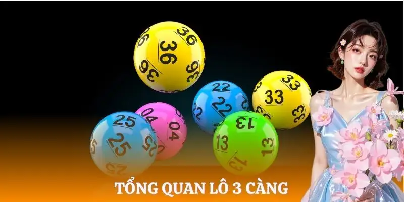 lo-3-cang-tong-quan